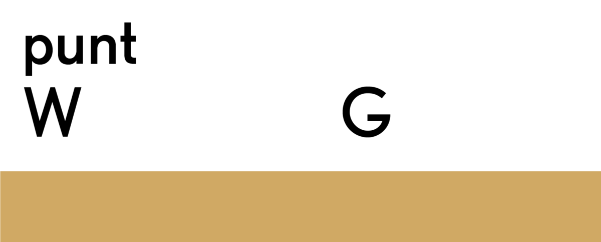 puntWG logo